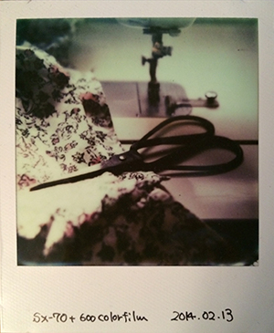 polaroid.jpg