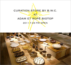 curation store.jpg