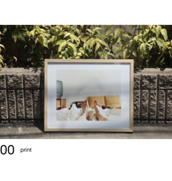shimamoto_photo.jpg