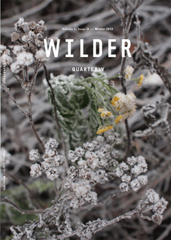wilder.jpg